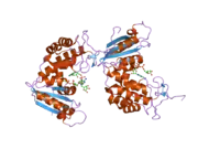 2i67: Structural Basis for the Mechanistic Understanding Human CD38 Controlled Multiple Catalysis