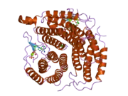 2idx: Structure of Human ATP:Cobalamin adenosyltransferase bound to ATP.