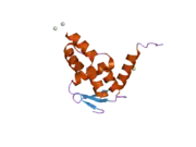 2if5: Structure of the POZ domain of human LRF, a master regulator of oncogenesis