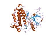 2itv: CRYSTAL STRUCTURE OF EGFR KINASE DOMAIN L858R MUTATION IN COMPLEX WITH AMP-PNP