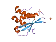 2iwl: STRUCTURE OF THE PX DOMAIN OF PHOSPHOINOSITIDE 3-KINASE-C2ALPHA