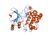 2j0i: CRYSTAL STRUCTURE OF THE HUMAN P21-ACTIVATED KINASE 4