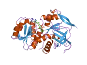 2j8z: CRYSTAL STRUCTURE OF HUMAN P53 INDUCIBLE OXIDOREDUCTASE (TP53I3,PIG3)