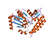 2jga: CRYSTAL STRUCTURE OF HUMAN CYTOSOLIC 5'-NUCLEOTIDASE III IN COMPLEX WITH PHOSPHATE AND MAGNESIUM