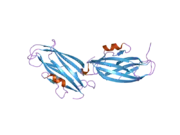 2jhx: CRYSTAL STRUCTURE OF RHOGDI E155H, E157H MUTANT