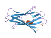 2ji0: CRYSTAL STRUCTURE OF RHOGDI K138Y, K141Y MUTANT