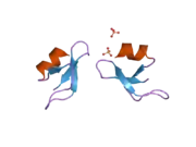 2nld: Human beta-defensin-1 (Mutant Gln11Ala)