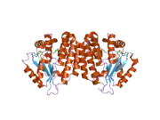 2no9: The structure of deoxycytidine kinase complexed with troxacitabine and ADP.