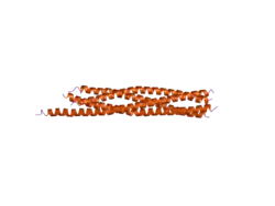 2nps: Crystal Structure of the Early Endosomal SNARE Complex