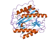 2nq7: Crystal structure of type 1 human methionine aminopeptidase in complex with 3-(2,2-Dimethylpropionylamino)pyridine-2-carboxylic acid thiazole-2-ylamide