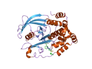 2nt7: Crystal structure of PTP1B-inhibitor complex