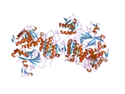 2nup: Crystal Structure of the human Sec23a/24a heterodimer, complexed with the SNARE protein Sec22b