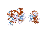 2nv5: Crystal structure of a C-terminal phosphatase domain of Rattus norvegicus ortholog of human protein tyrosine phosphatase, receptor type, D (PTPRD)