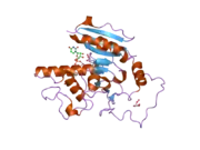 2o1h: Naturally occurring mutation of Humna ABO(H) Galactosyltransferase in complex with UDP: GTB/M214T_UDP