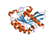 2oil: Crystal structure of human RAB25 in complex with GDP