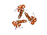 2omh: Structure of human insulin cocrystallized with ARG-12 peptide in presence of urea