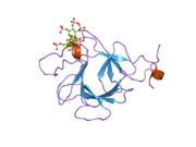 2p39: Crystal structure of human FGF23