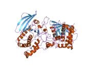 2pi7: Structure of the catalytic domain of the chick retinal neurite inhibitor-Receptor Protein Tyrosine Phosphatase CRYP-2/cPTPRO