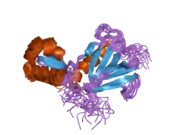 2rnr: Solution structure of the complex between TFIIE alpha C-terminal acidic domain and TFIIH p62 PH domain