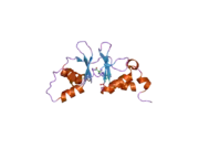 2uv5: CRYSTAL STRUCTURE OF A CBS DOMAIN PAIR FROM THE REGULATORY GAMMA1 SUBUNIT OF HUMAN AMPK IN COMPLEX WITH AMP