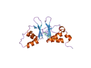 2uv7: CRYSTAL STRUCTURE OF A CBS DOMAIN PAIR FROM THE REGULATORY GAMMA1 SUBUNIT OF HUMAN AMPK IN COMPLEX WITH AMP