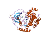 2uvx: STRUCTURE OF PKA-PKB CHIMERA COMPLEXED WITH 7-AZAINDOLE