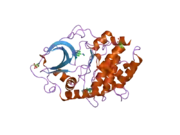 2uvy: STRUCTURE OF PKA-PKB CHIMERA COMPLEXED WITH METHYL-(4-(9H-PURIN-6-YL)-BENZYL)-AMINE