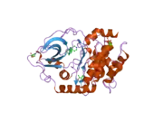 2uw0: STRUCTURE OF PKA-PKB CHIMERA COMPLEXED WITH 6-(4-(4-(4-CHLORO-PHENYL)-PIPERIDIN-4-YL)-PHENYL)-9H-PURINE