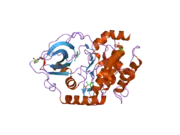 2uw3: STRUCTURE OF PKA-PKB CHIMERA COMPLEXED WITH 5-METHYL-4-PHENYL-1H-PYRAZOLE