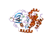 2uw8: STRUCTURE OF PKA-PKB CHIMERA COMPLEXED WITH 2-(4-CHLORO-PHENYL)-2-PHENYL-ETHYLAMINE