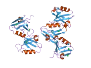 2uzc: STRUCTURE OF HUMAN PDLIM5 IN COMPLEX WITH THE C-TERMINAL PEPTIDE OF HUMAN ALPHA-ACTININ-1