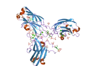 2uzp: CRYSTAL STRUCTURE OF THE C2 DOMAIN OF HUMAN PROTEIN KINASE C GAMMA.