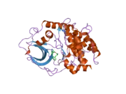 2uzt: PKA STRUCTURES OF AKT, INDAZOLE-PYRIDINE INHIBITORS