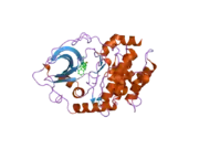 2uzu: PKA STRUCTURES OF INDAZOLE-PYRIDINE SERIES OF AKT INHIBITORS