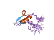 2v0e: BRK DOMAIN FROM HUMAN CHD7