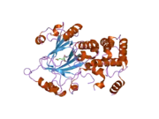 2yu1: Crystal structure of hJHDM1A complexed with a-ketoglutarate