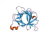 31bi: INTERLEUKIN-1 BETA (IL-1 BETA) (MUTANT WITH CYS 71 REPLACED BY SER) (C71S)