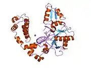 9icy: DNA POLYMERASE BETA (E.C.2.7.7.7) COMPLEXED WITH SEVEN BASE PAIRS OF DNA (NON GAPPED DNA ONLY)