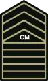 Philippine Army Insignia