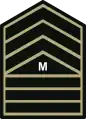 Master sergeant(Philippine Army)