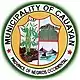 Official seal of Cauayan