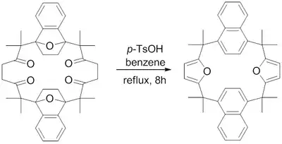 Fused Macrocycle Furan