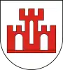 Coat of arms of Żychlin