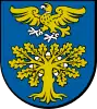 Coat of arms of Gmina Sokołów Małopolski