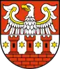 Międzychód County