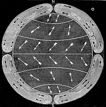 Illustration of the prevailing wind patterns near the surface and aloft published in 1872 or 1873