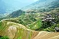 Longsheng Rice Terrace