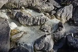 "foot bath" hot spring San Juan River