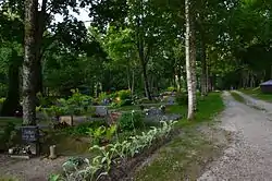 The Paide Sillaotsa Cemetery in Sillaotsa