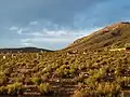 Countryside near to the village of Barrancas